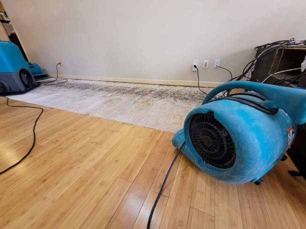 Professional Basement Flood Cleanup technician working in Washington, MO